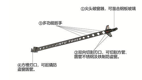 2024年正版蛇蛋图